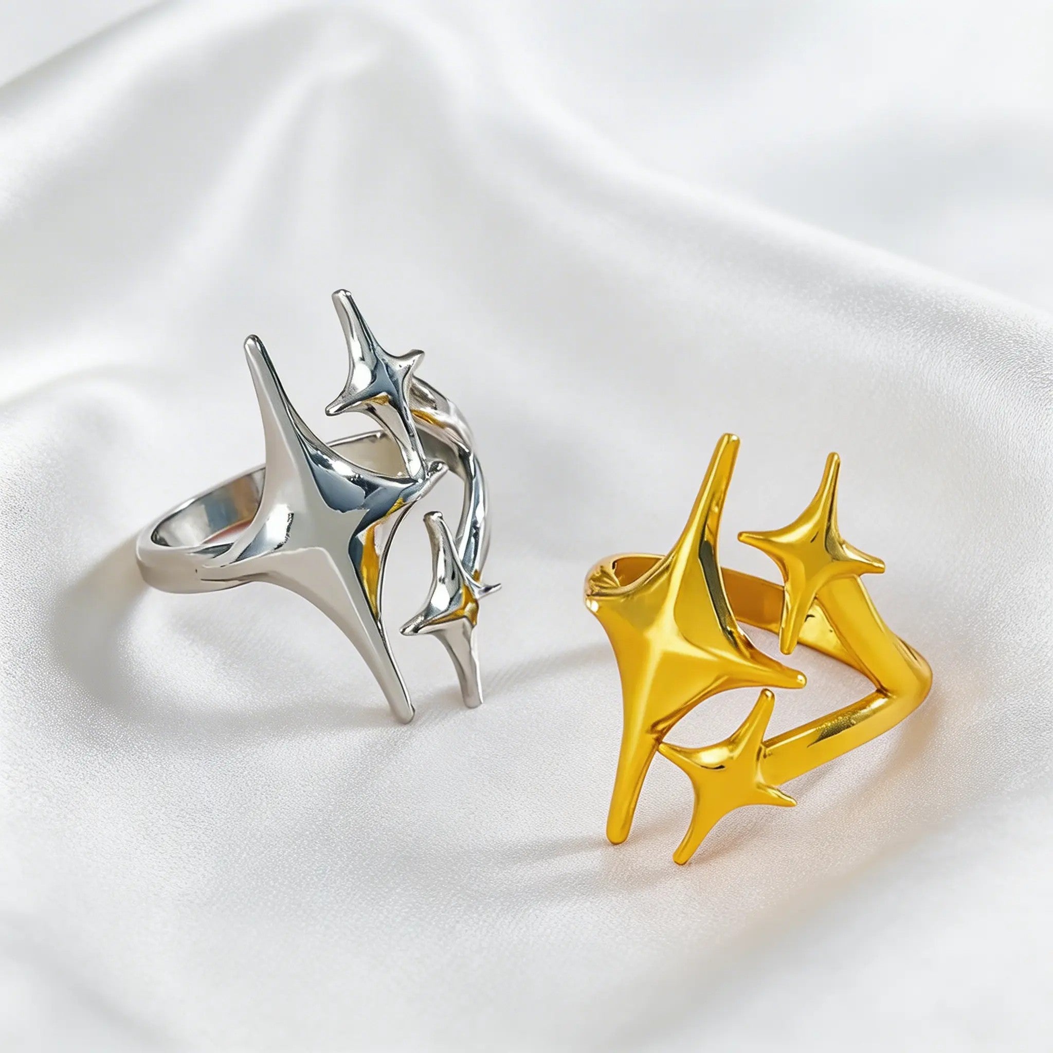 The Star Of The Show Ring