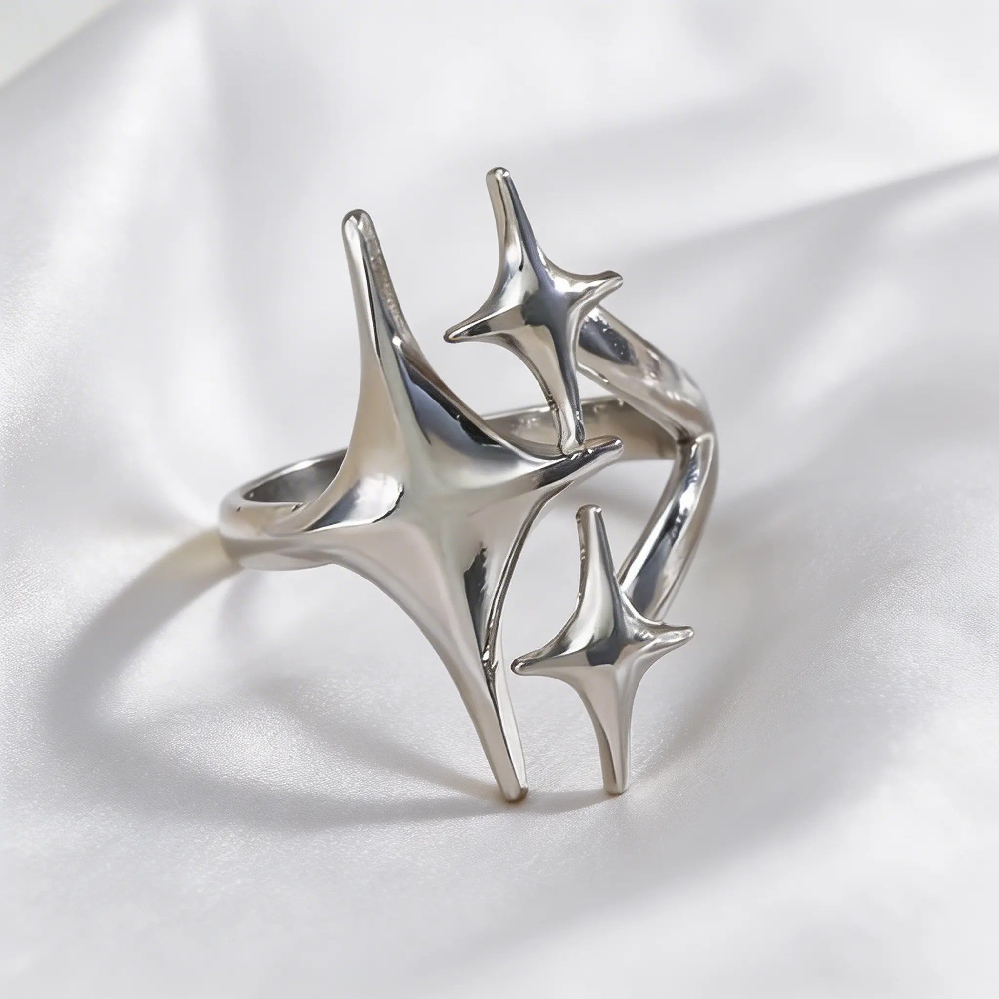 The Star Of The Show Ring