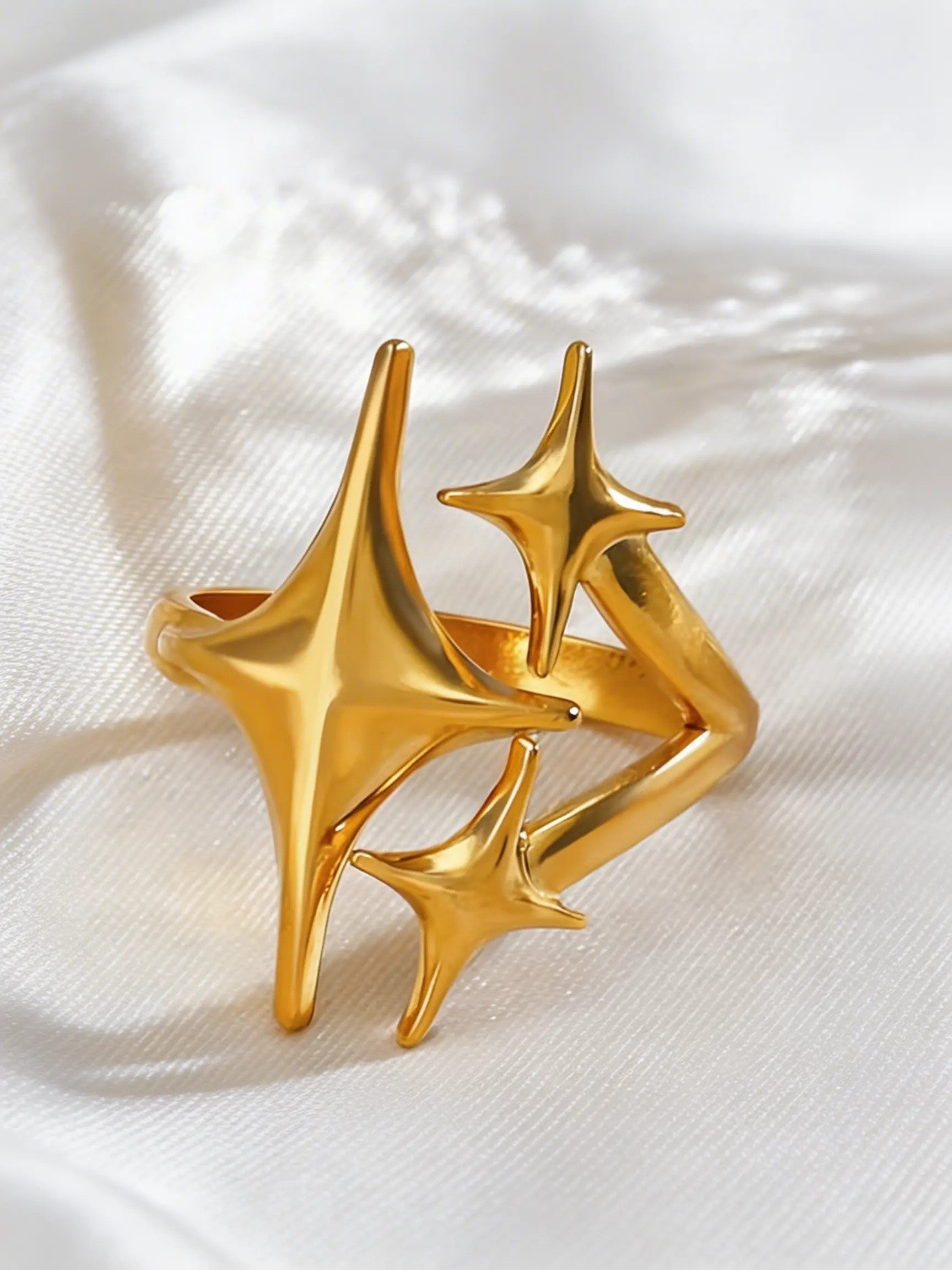 The Star Of The Show Ring