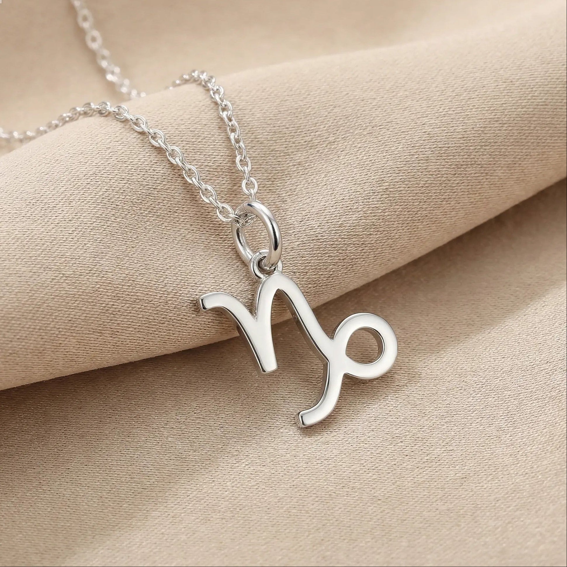 The Silver Zodiac Charm Necklace
