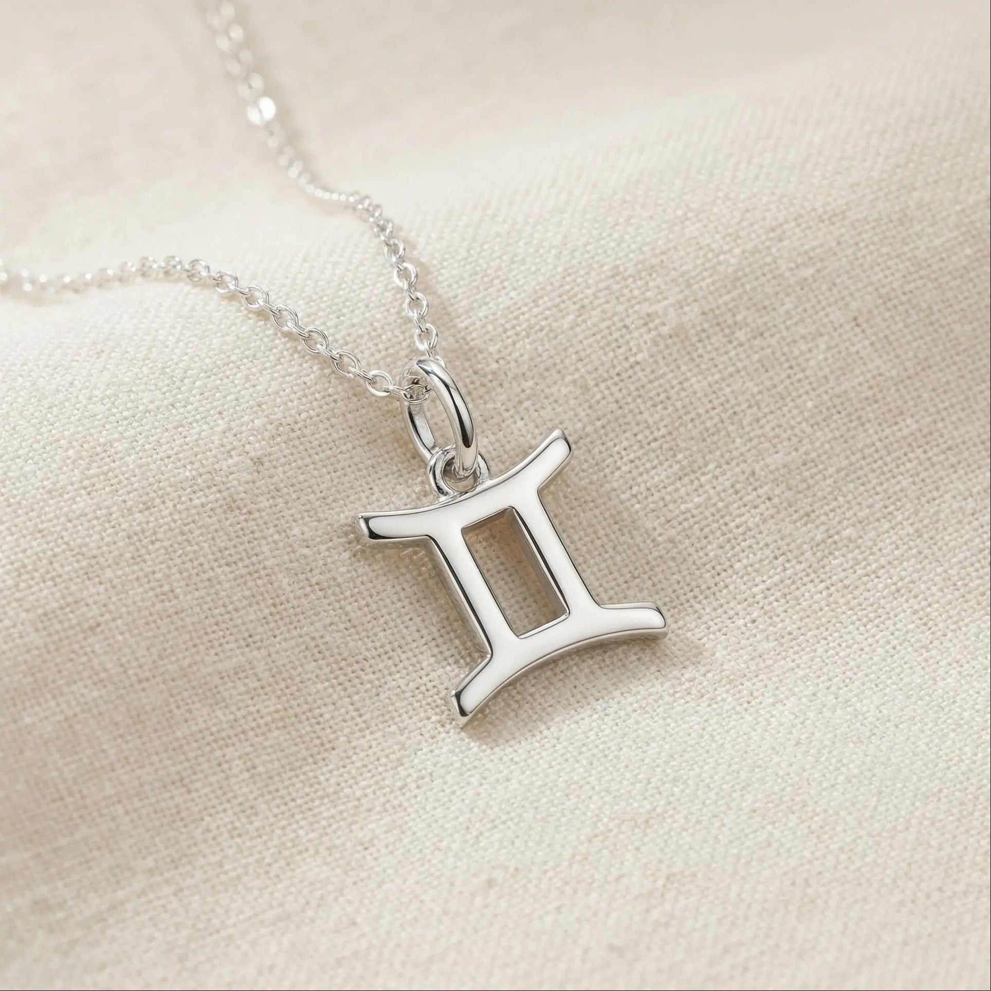 The Silver Zodiac Charm Necklace