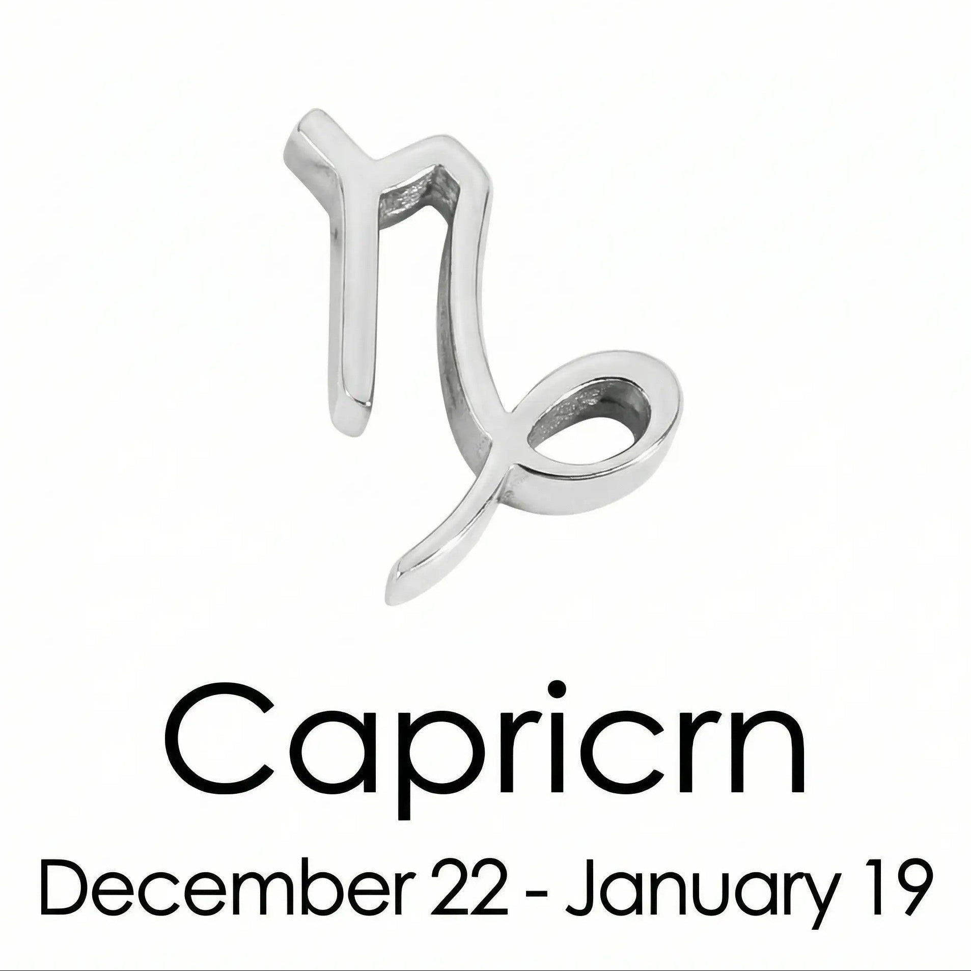 The Silver Zodiac Charm Necklace