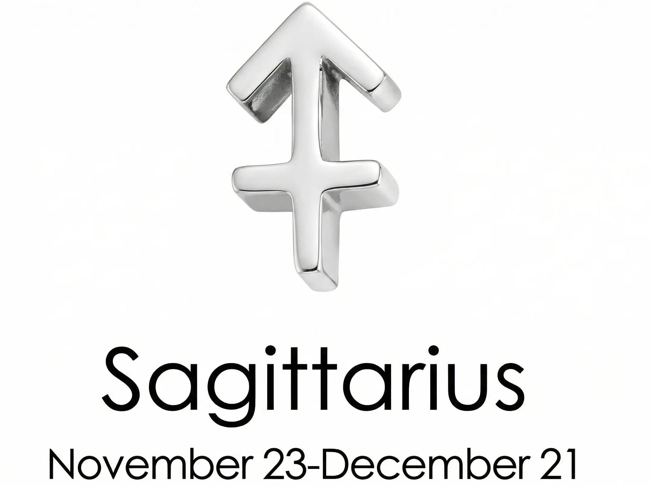 The Silver Zodiac Charm Necklace