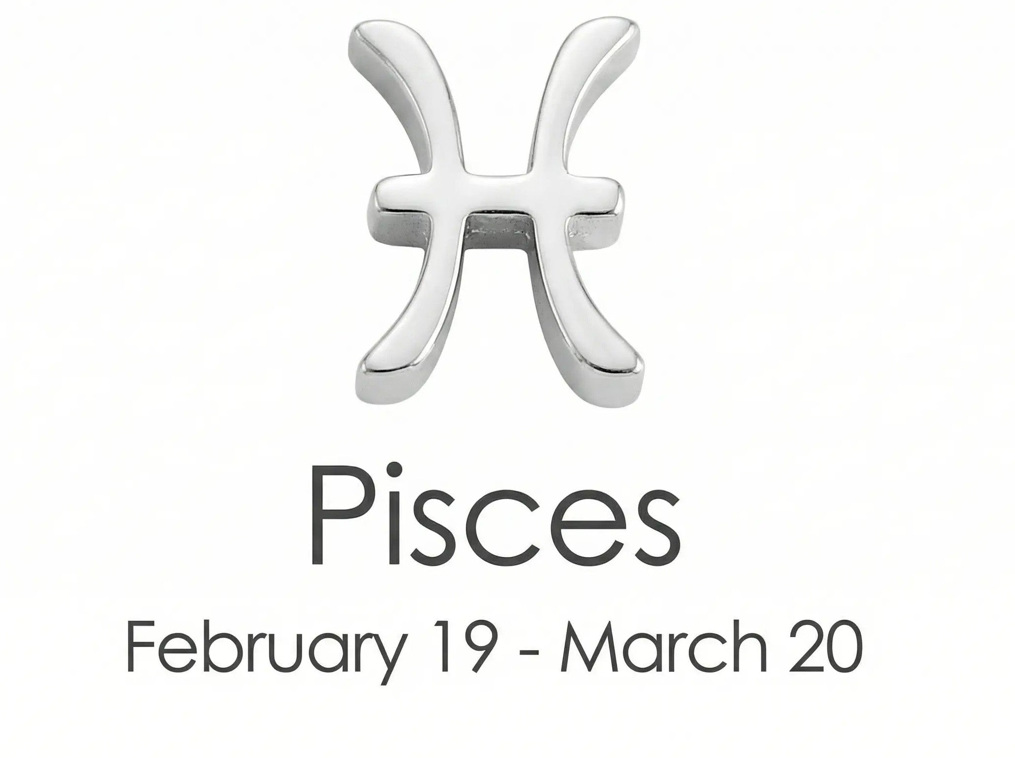 The Silver Zodiac Charm Necklace