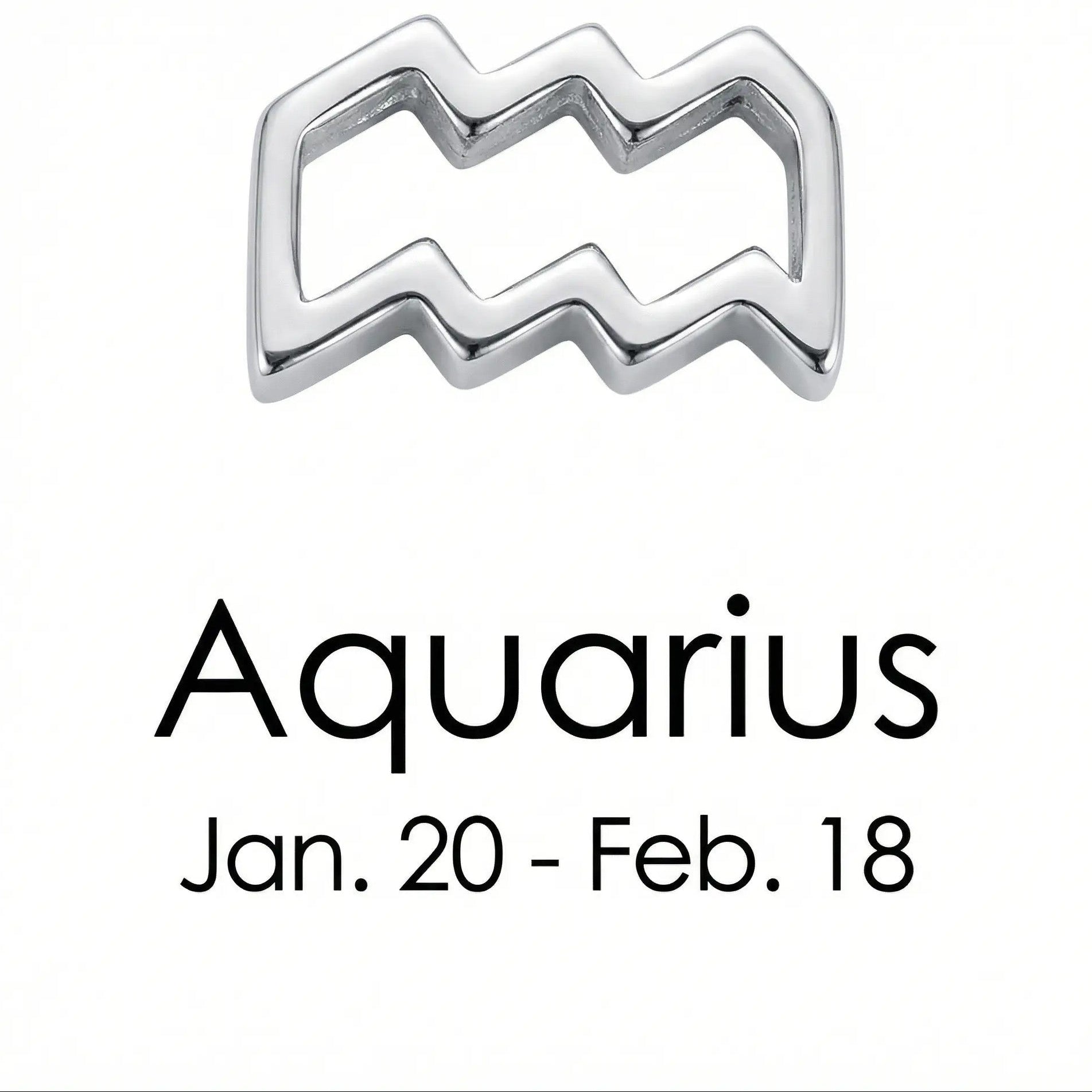 The Silver Zodiac Charm Necklace