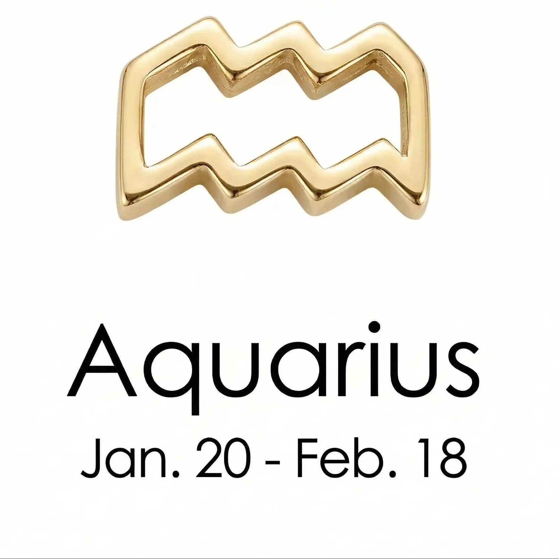 The Gold Zodiac Charm Necklace