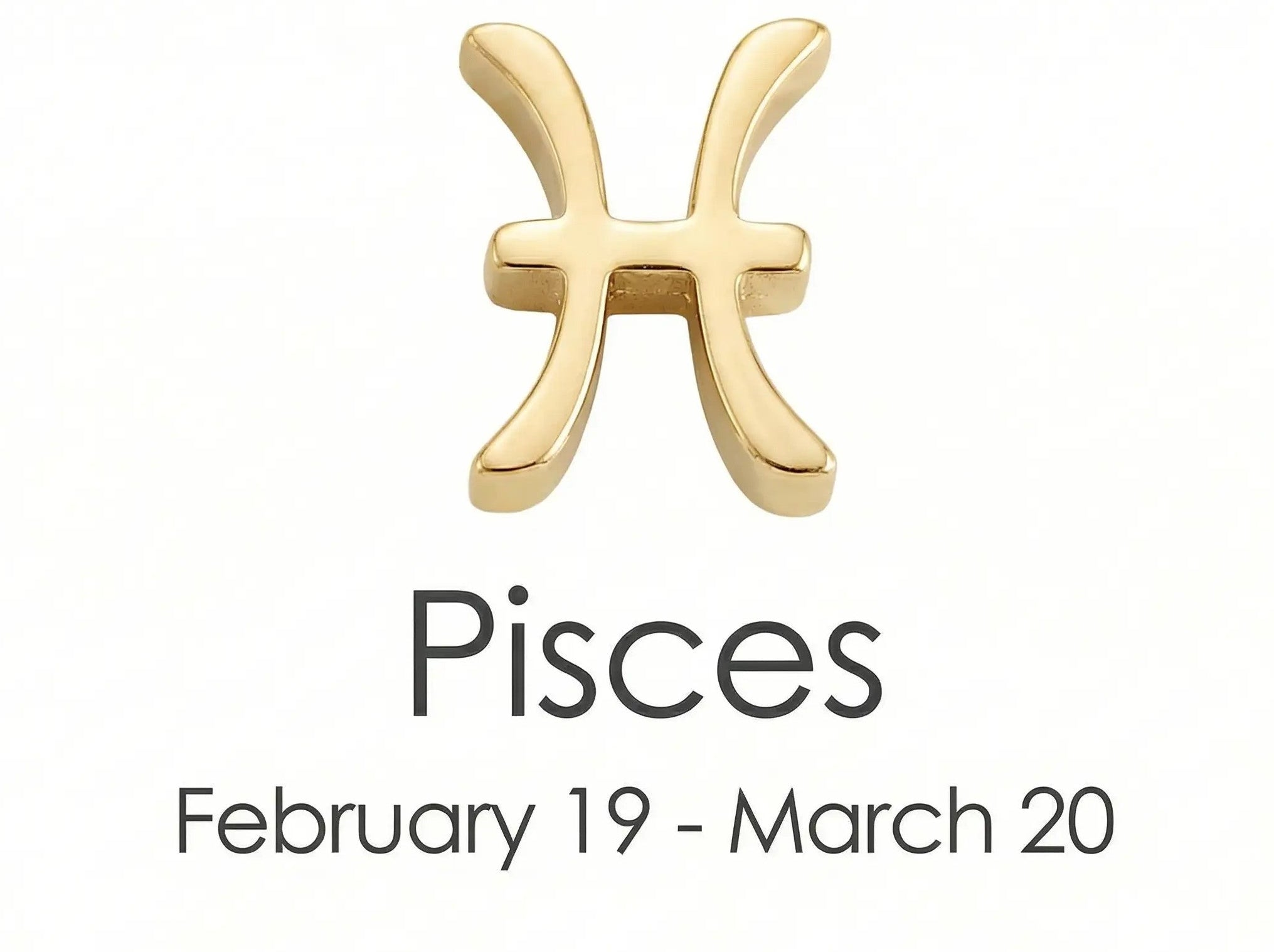 The Gold Zodiac Charm Necklace