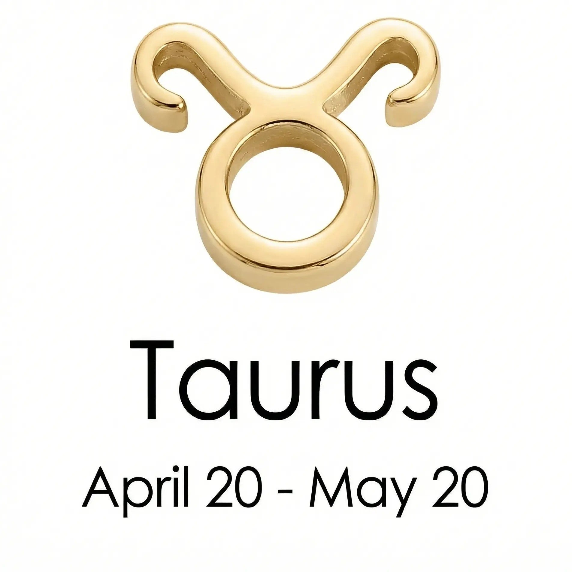 The Gold Zodiac Charm Necklace