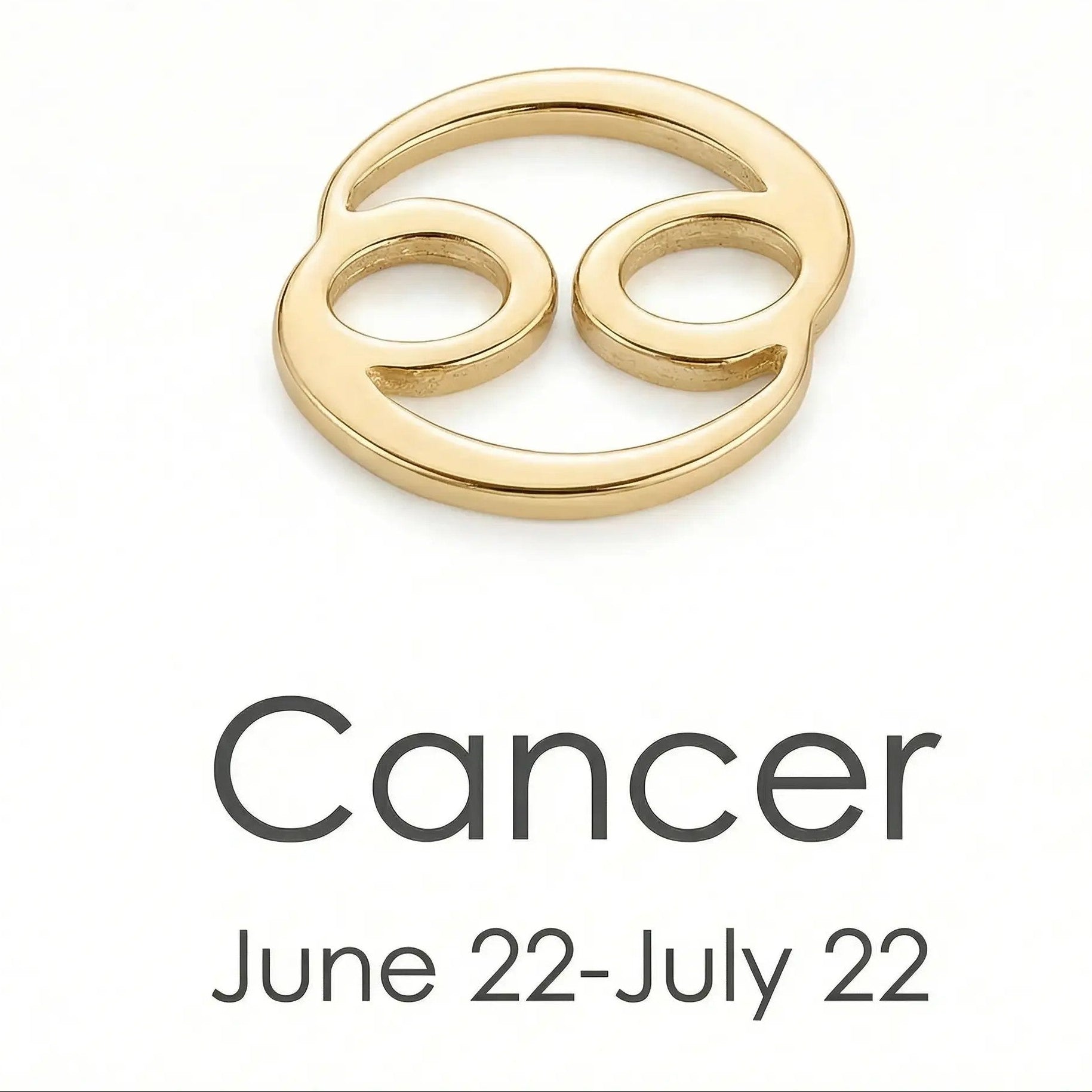 The Gold Zodiac Charm Necklace