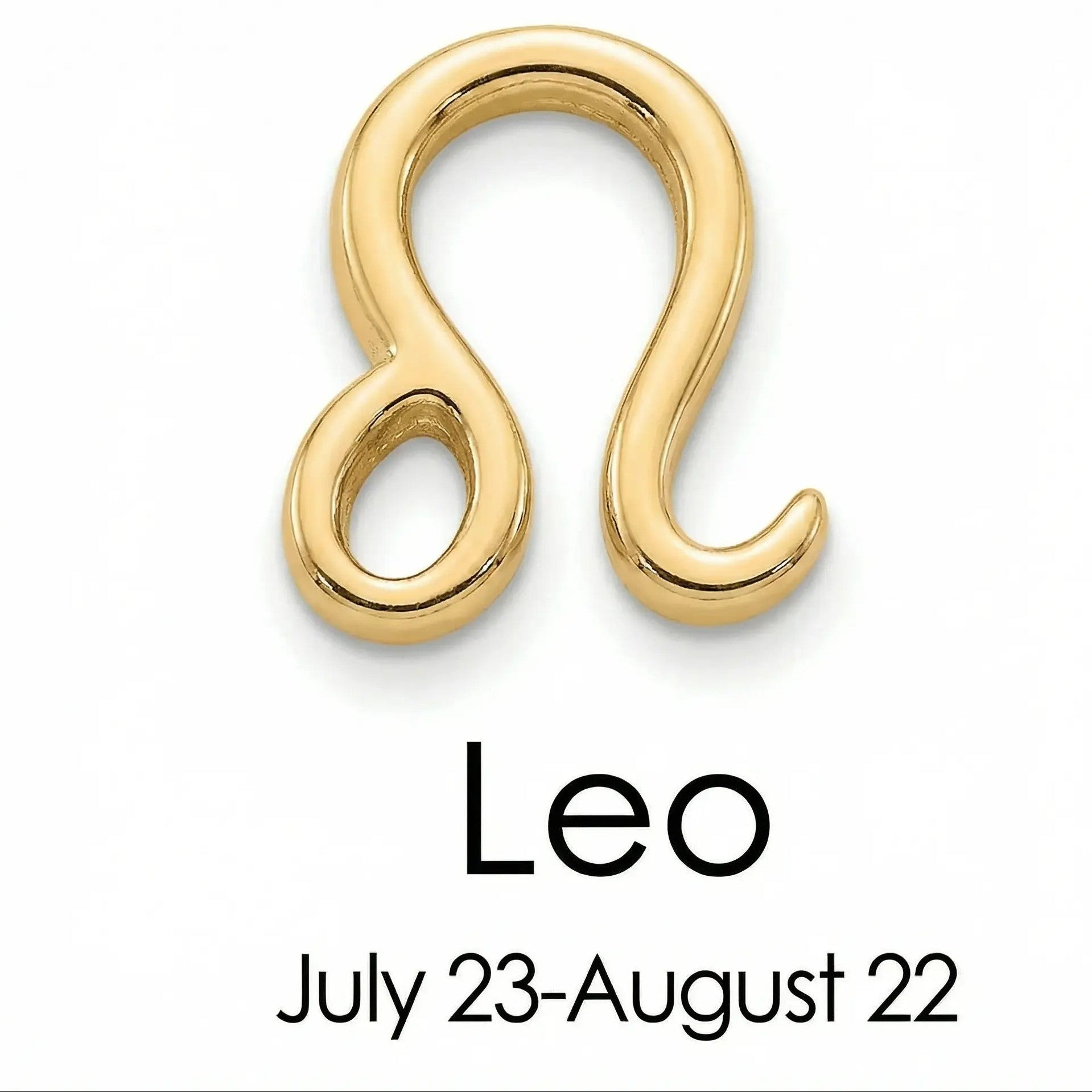 The Gold Zodiac Charm Necklace