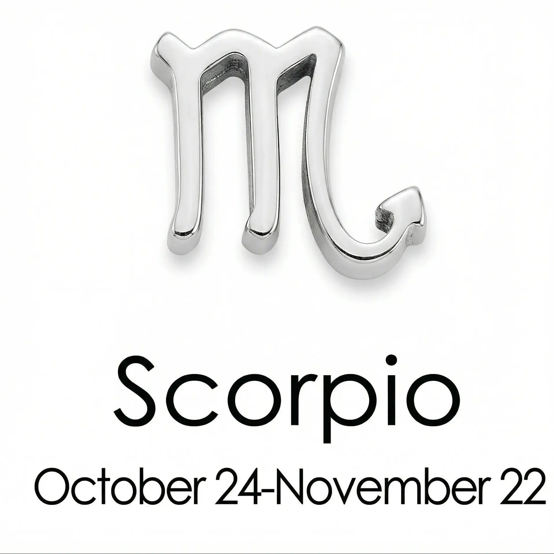 The Silver Zodiac Charm Necklace