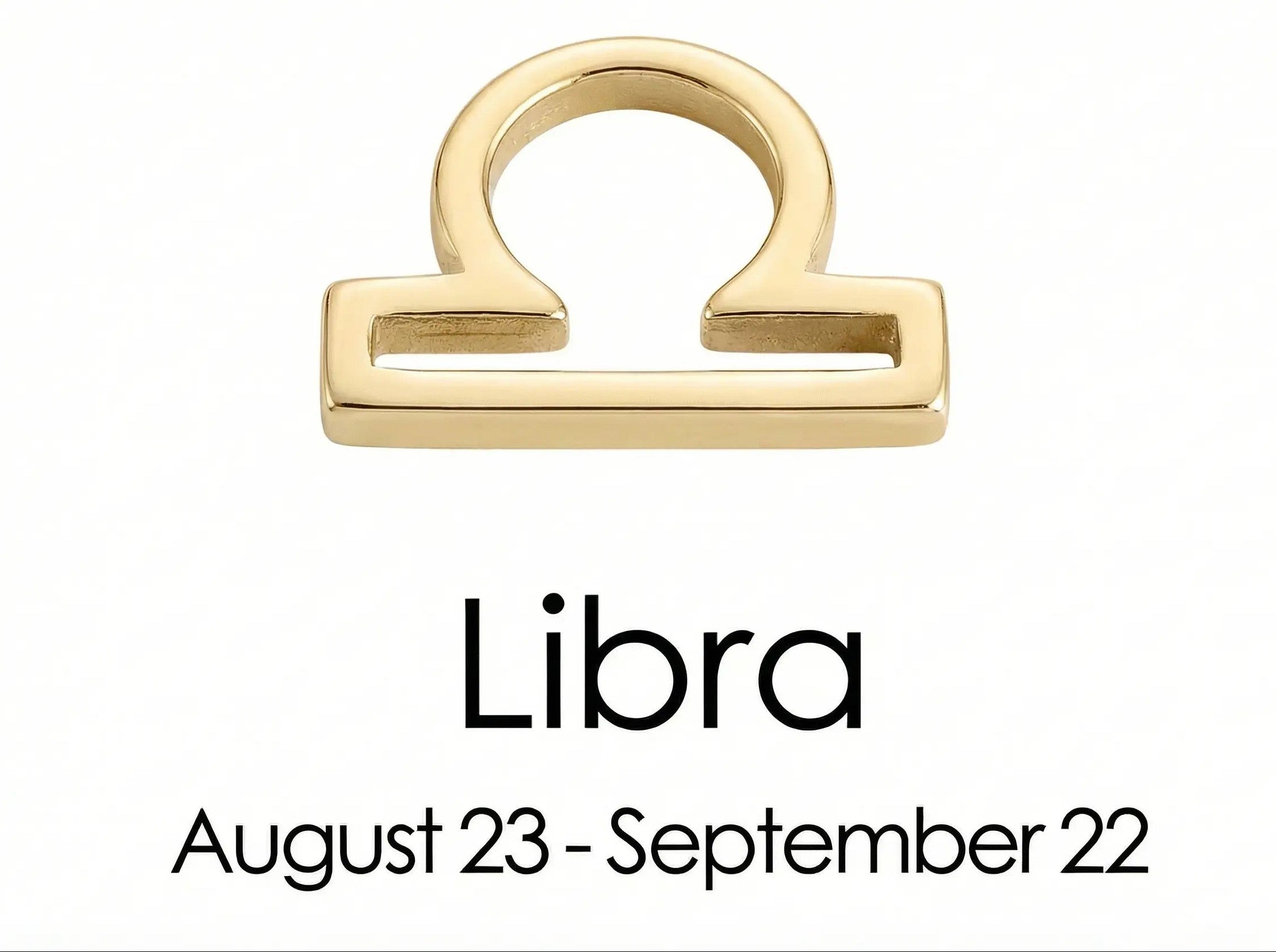 The Gold Zodiac Charm Necklace