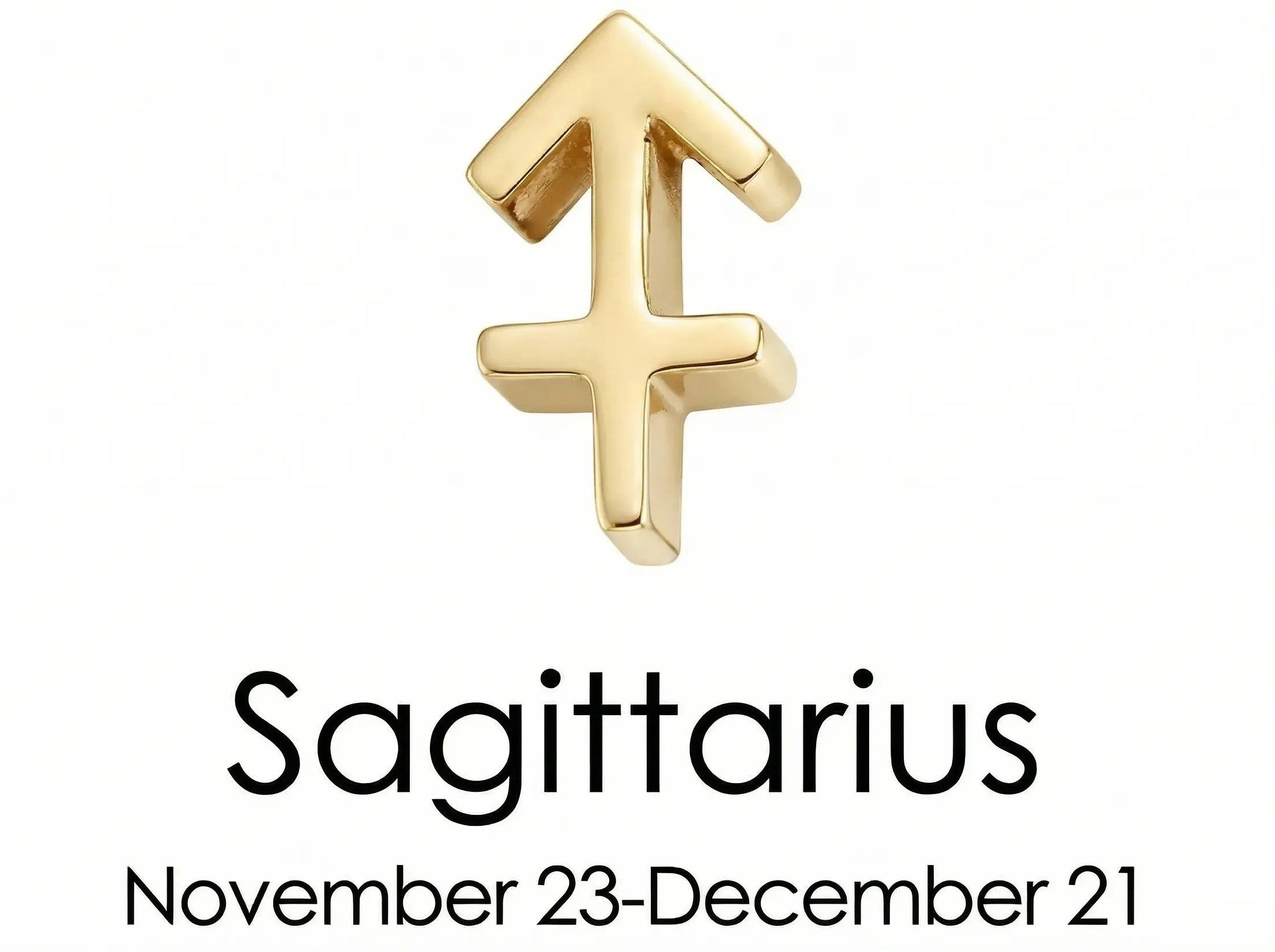 The Gold Zodiac Charm Necklace