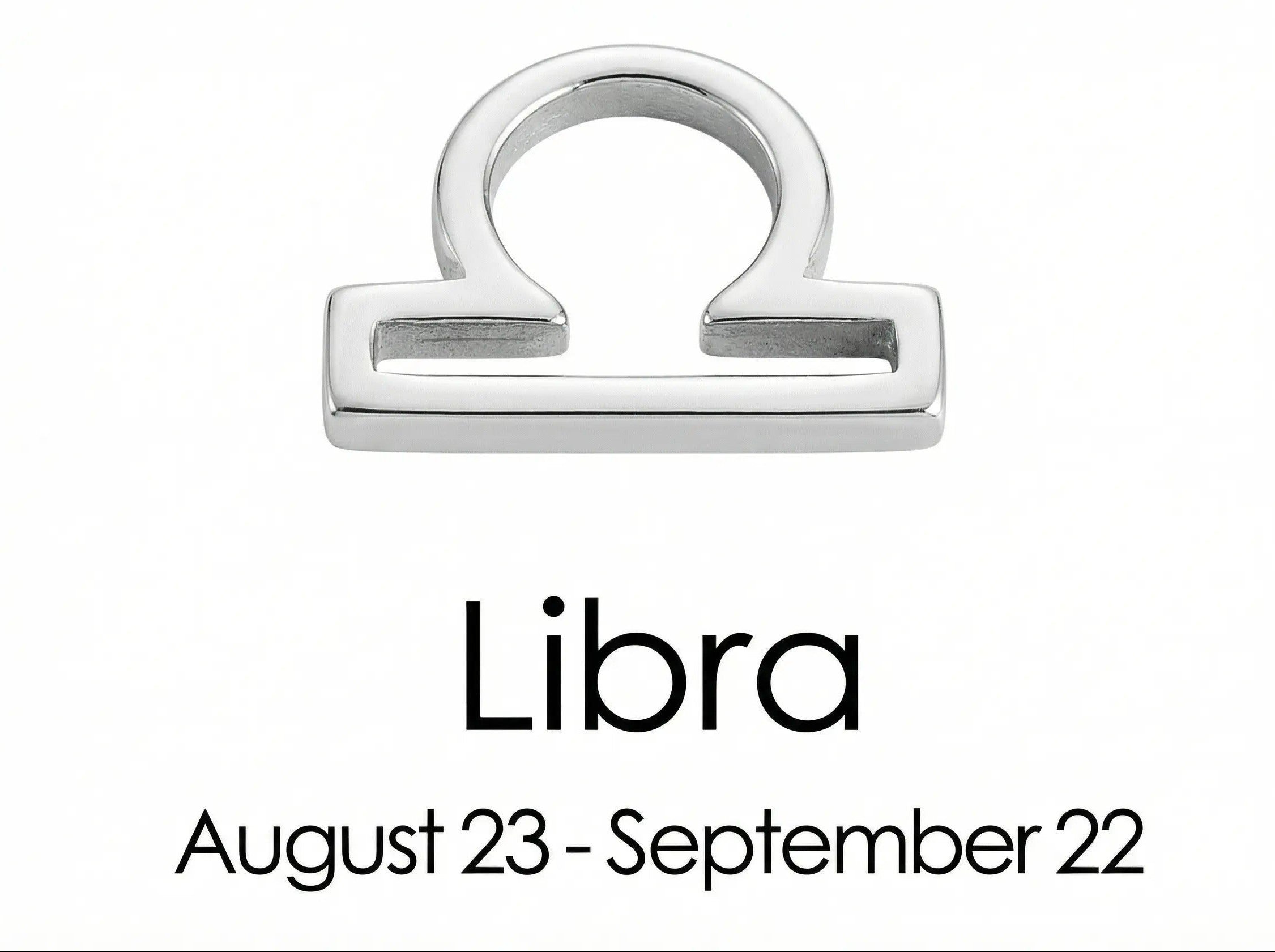 The Silver Zodiac Charm Necklace