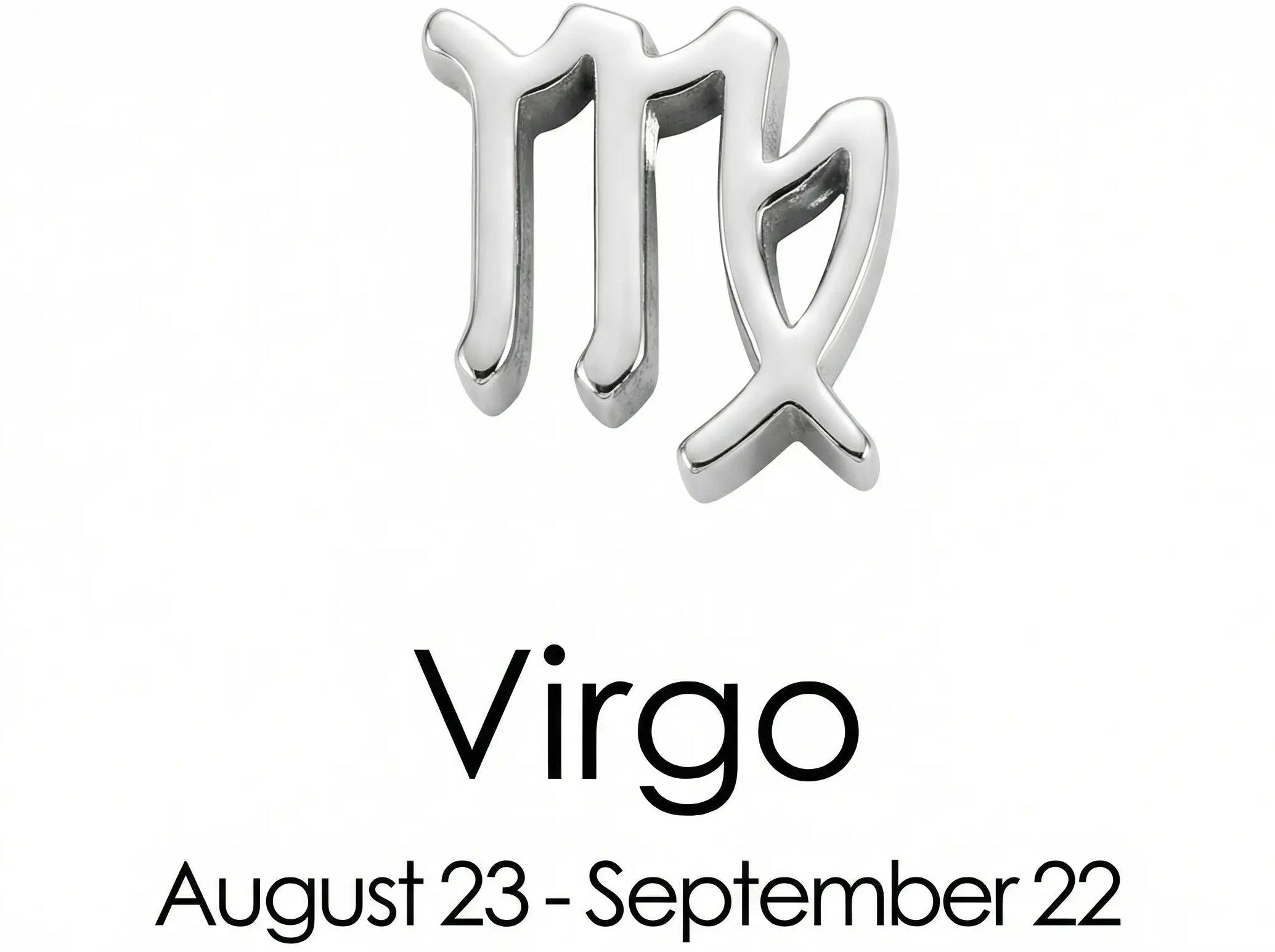 The Silver Zodiac Charm Necklace