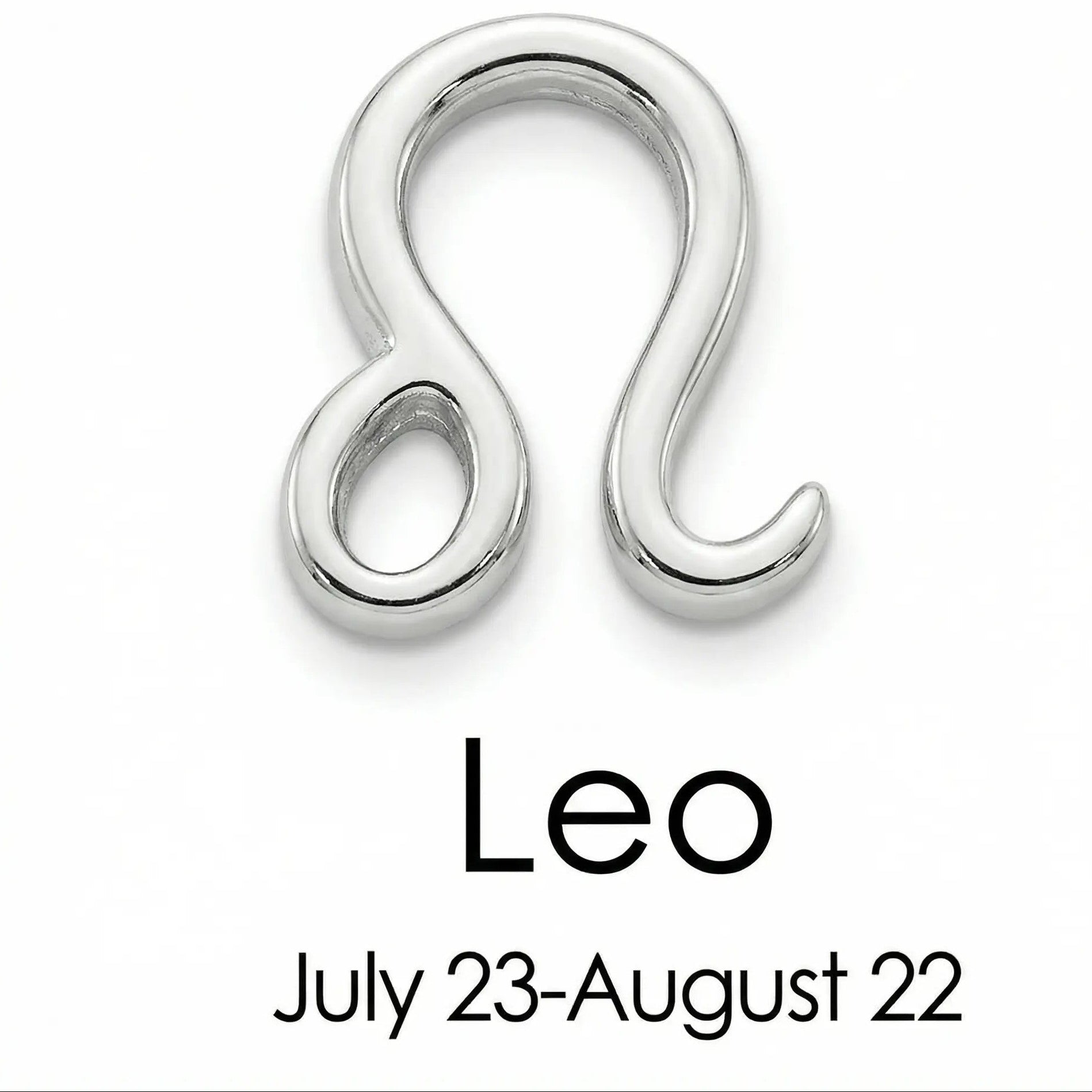 The Silver Zodiac Charm Necklace