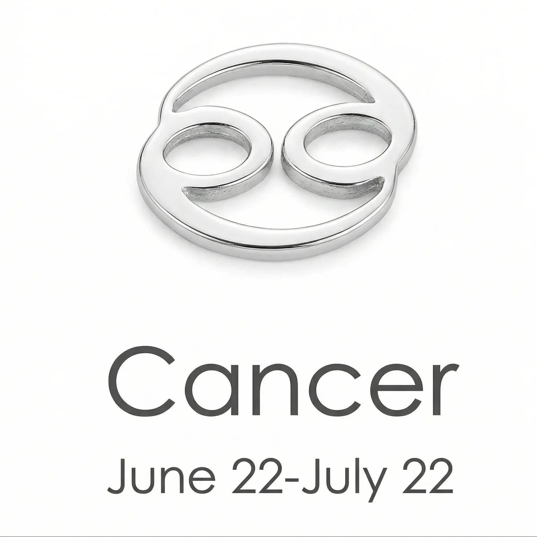 The Silver Zodiac Charm Necklace