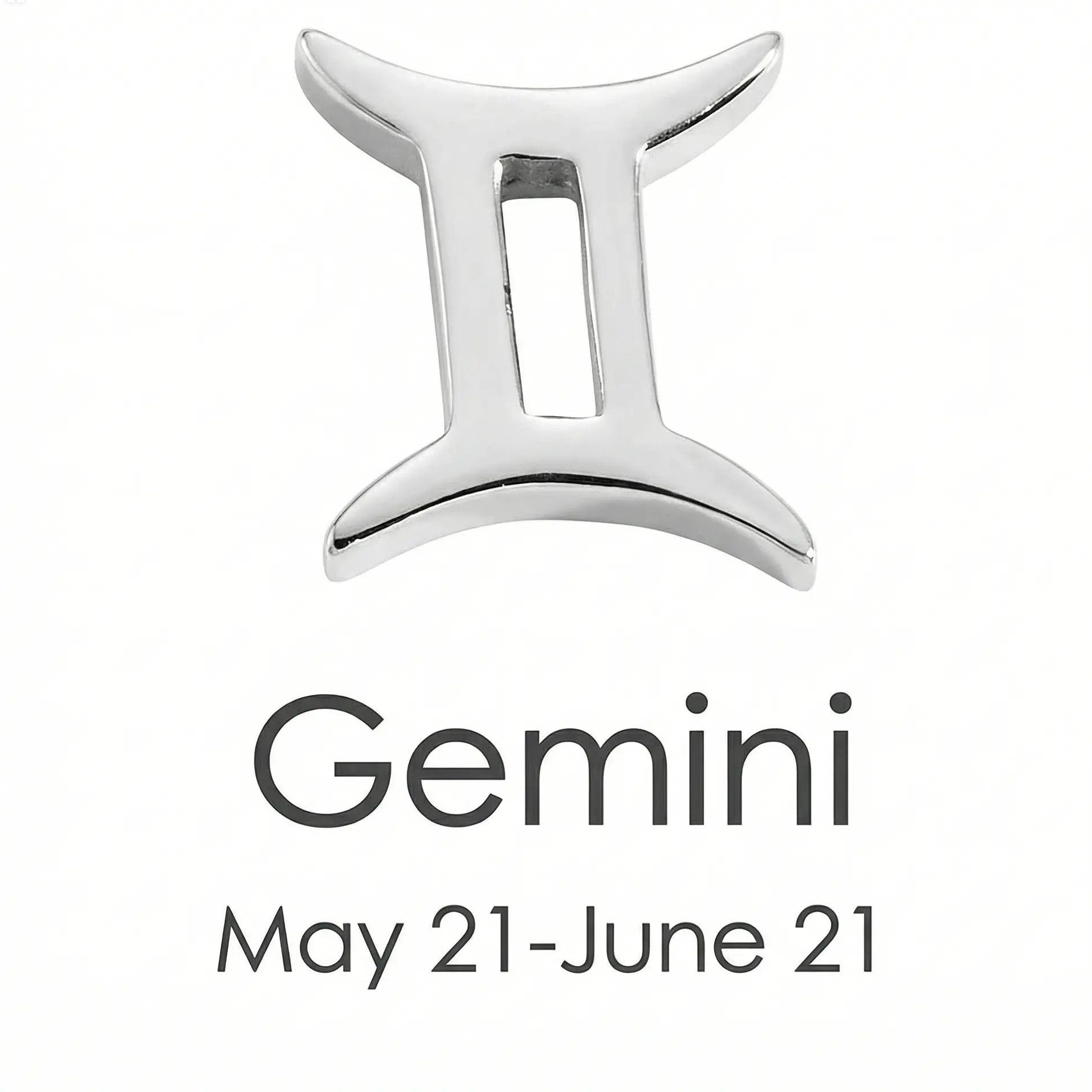 The Silver Zodiac Charm Necklace