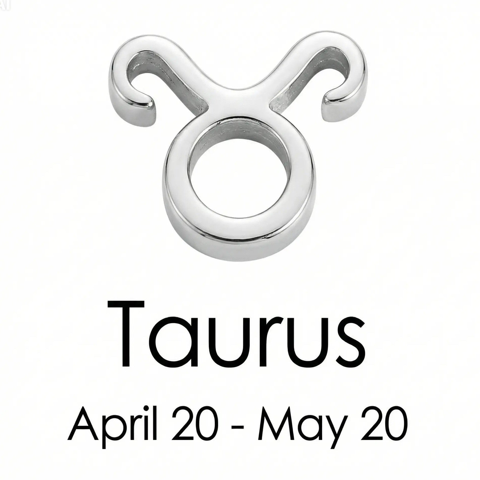 The Silver Zodiac Charm Necklace