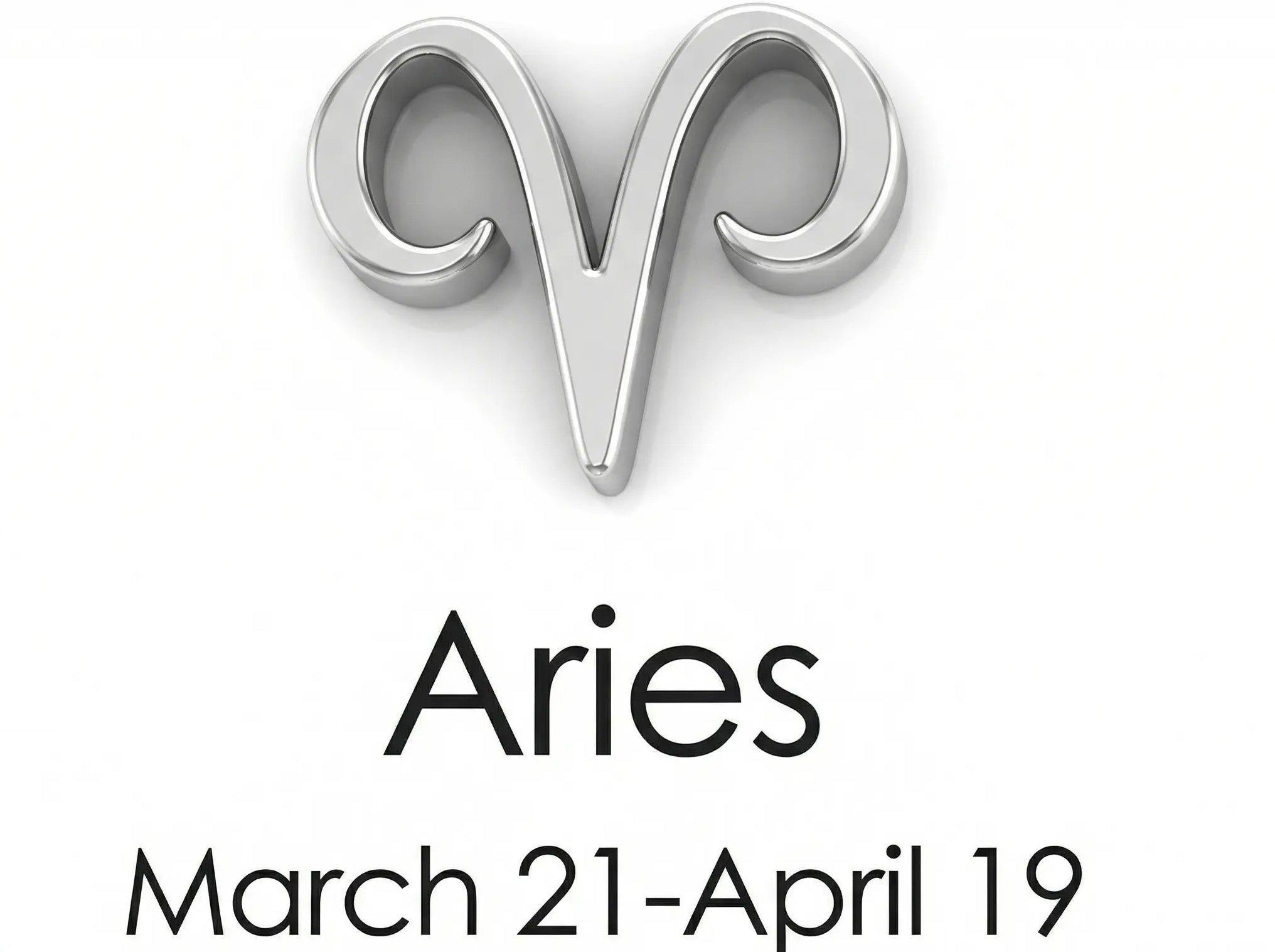 The Silver Zodiac Charm Necklace